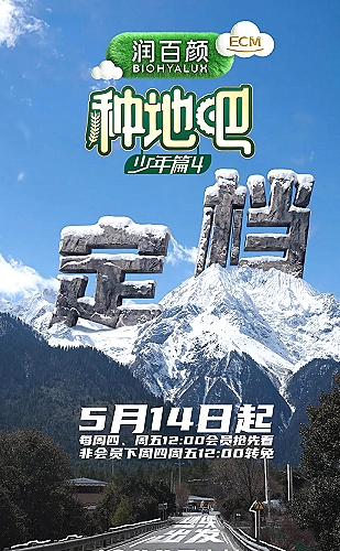 狂飙海报